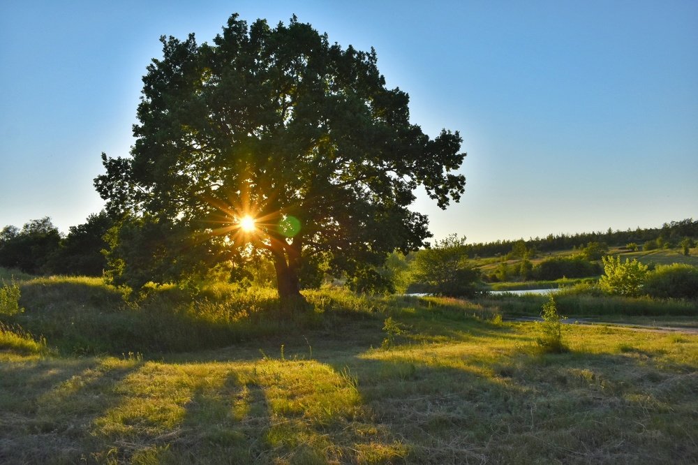 Photograph by Евгения Инютина