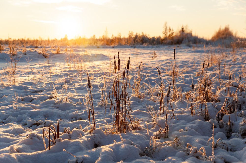 Photograph by Ирина Савш