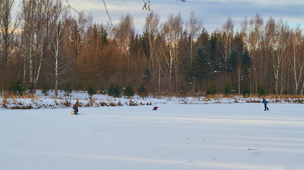 Photograph by Алексей Думин