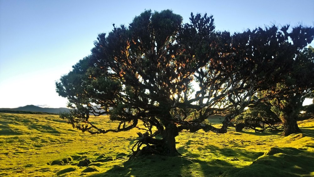 Photograph by Dimitra