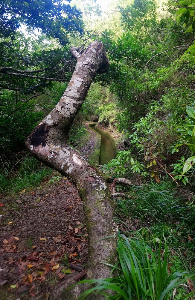 Photograph by Dimitra