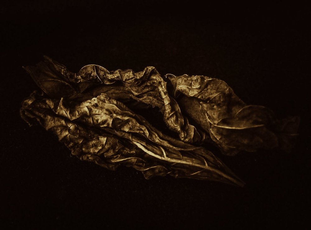 Photograph by Диана Кошелева