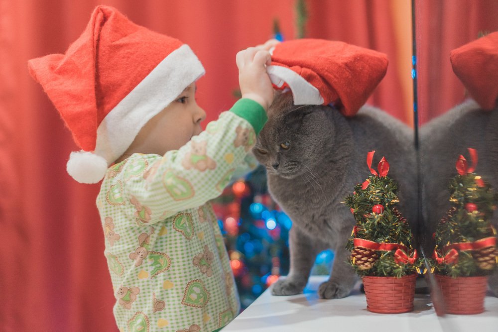 Photograph by Зухра Галиуллина