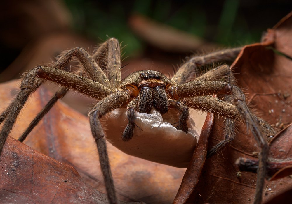 Photograph by Андрей Савин