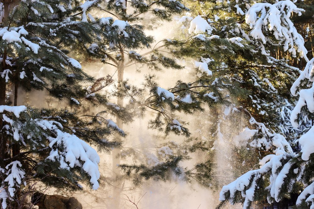 Зимняя сказка