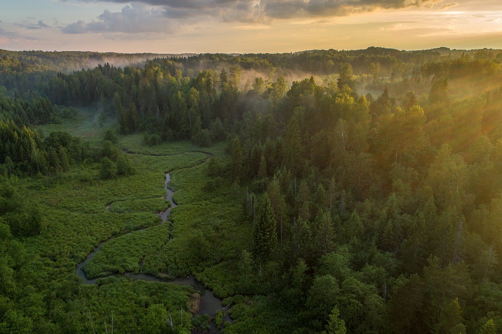 Photograph by Gatis Vilbrants