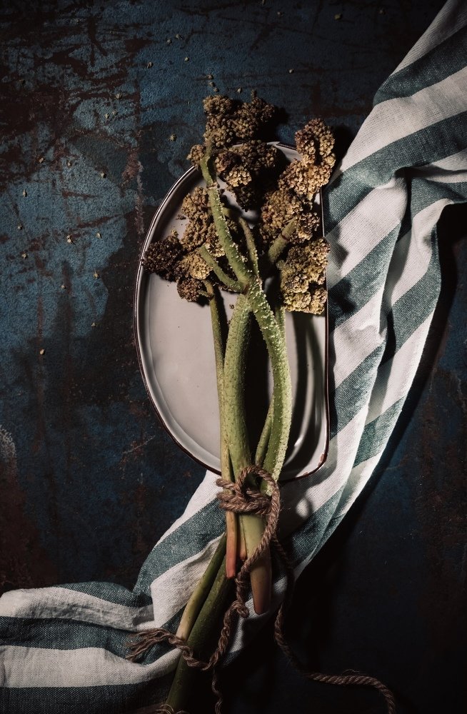 Photograph by Hamide Jafari