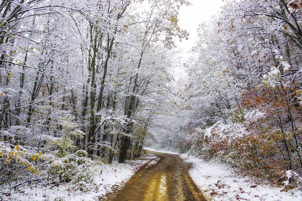 То ли осень, то ли зима...
