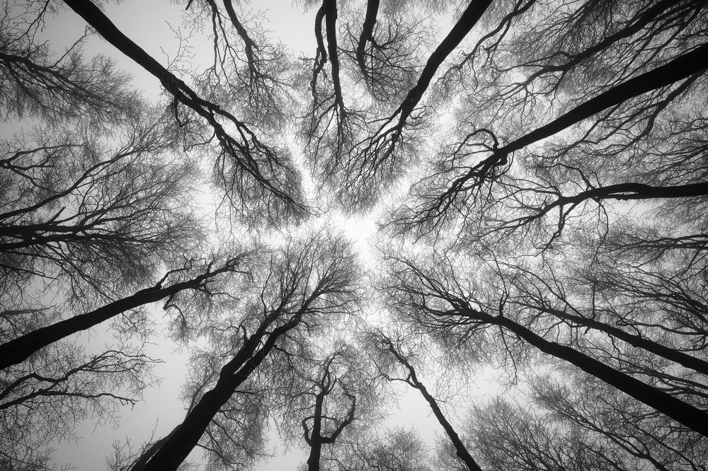 Photograph by Emil Štefanka