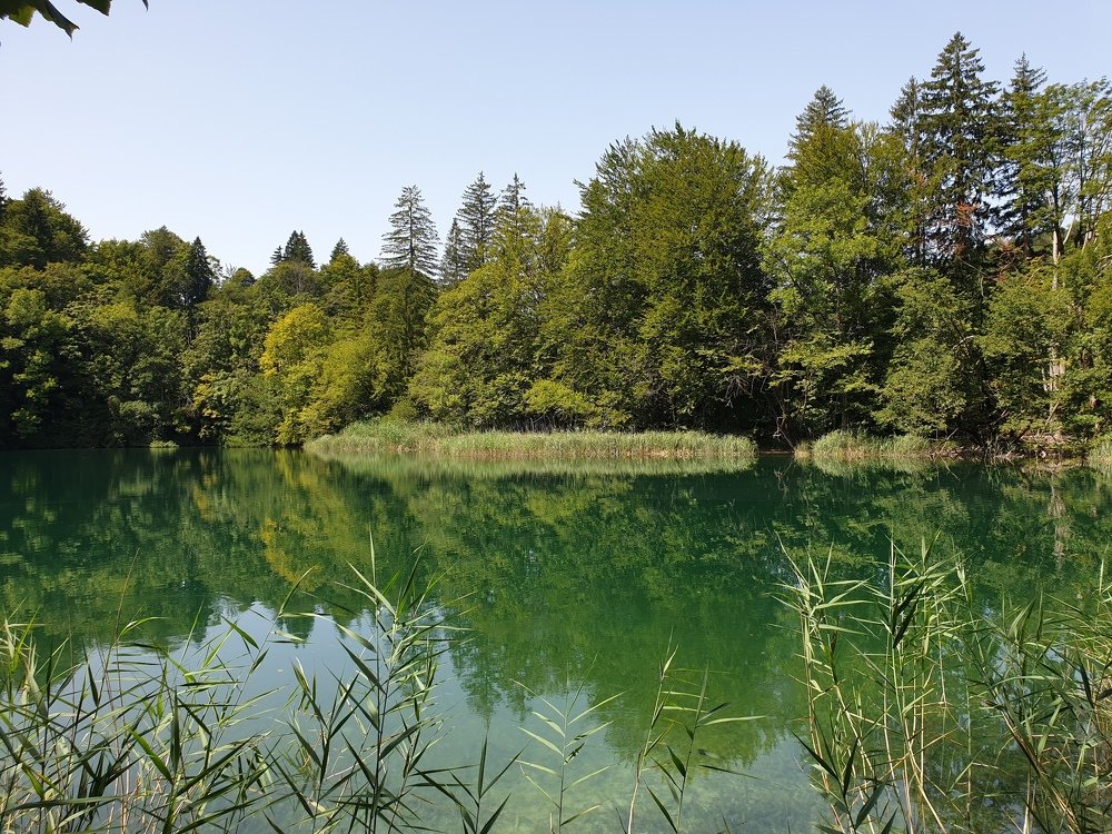 Photograph by Людмила Аксенова