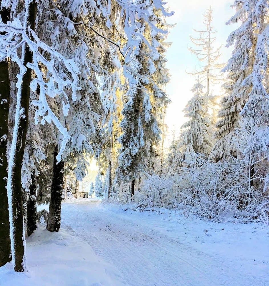 Photograph by Daria Nazarenko