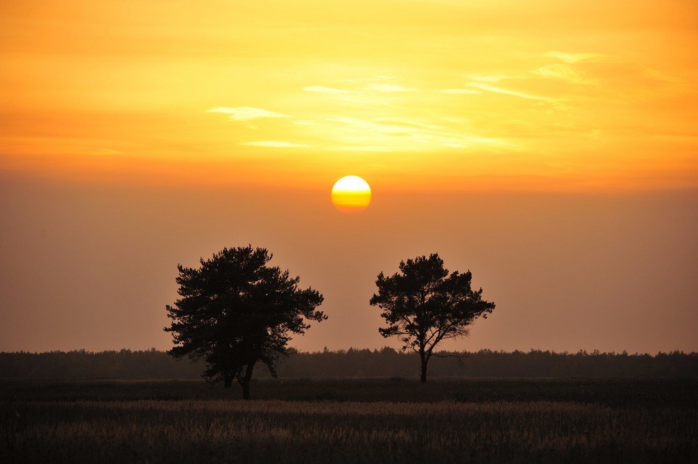 Photograph by Юрий Яковлев