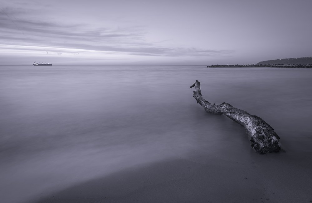 Фотография автора stoyan pavlov