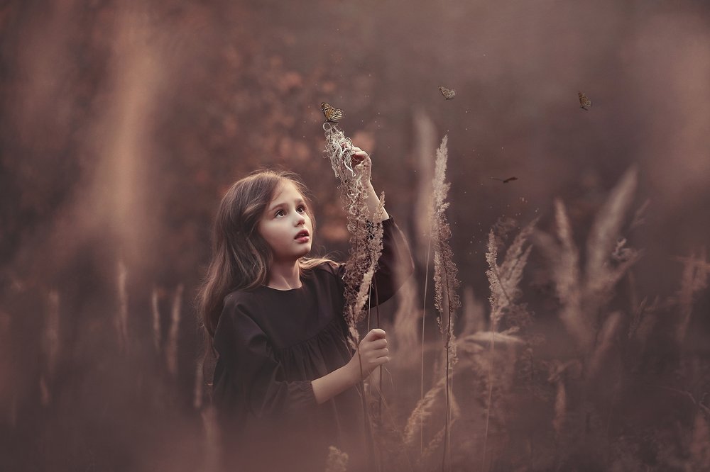 Осенняя бабочка