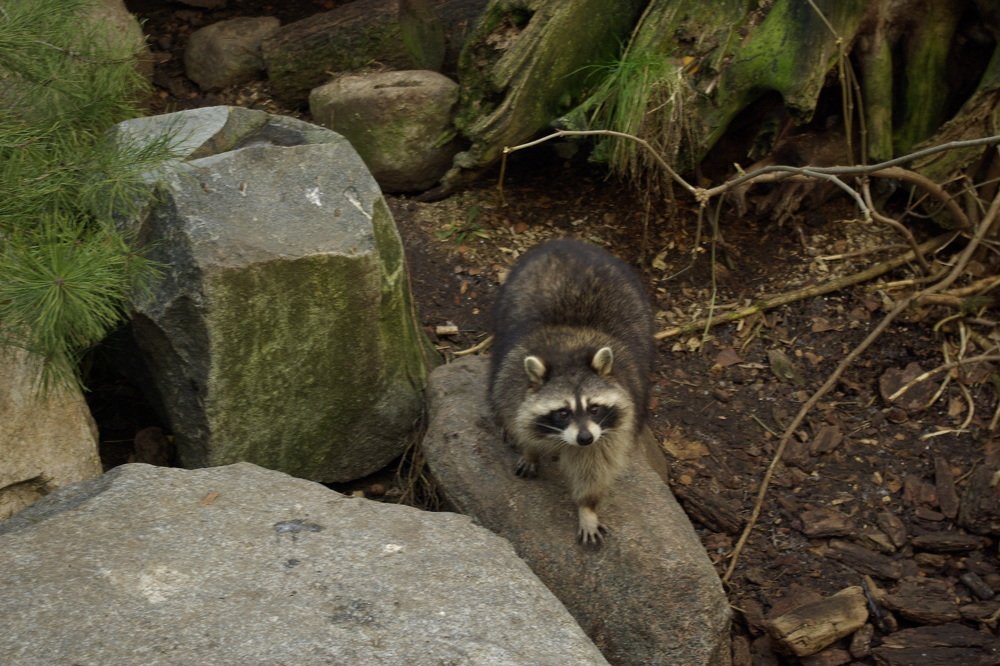 Photograph by Надежда Каравайцева