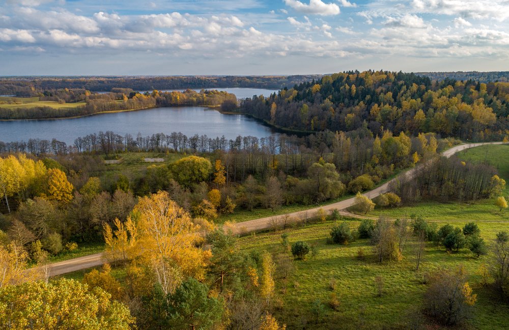 Осеняя палитра