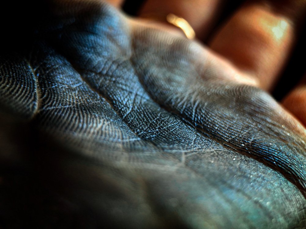 Photograph by людмила жукова