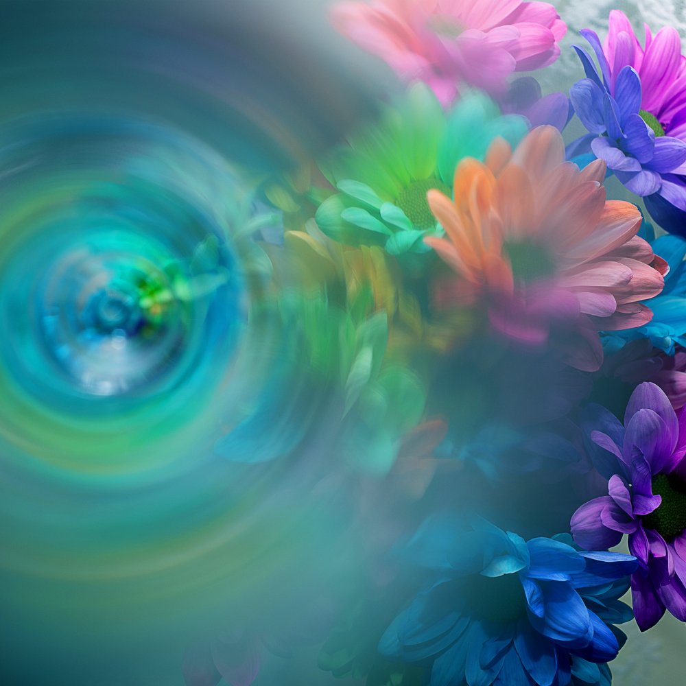 Фотография автора Ольга Матусевич