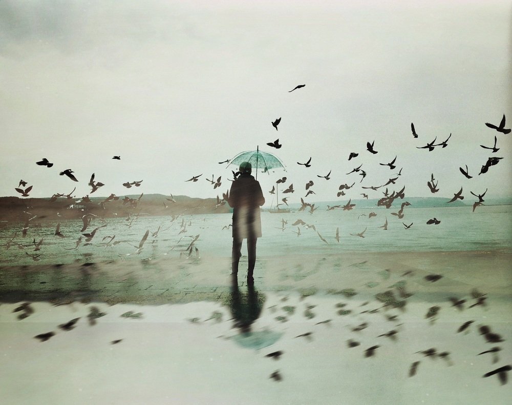 Photograph by Yalim Vural