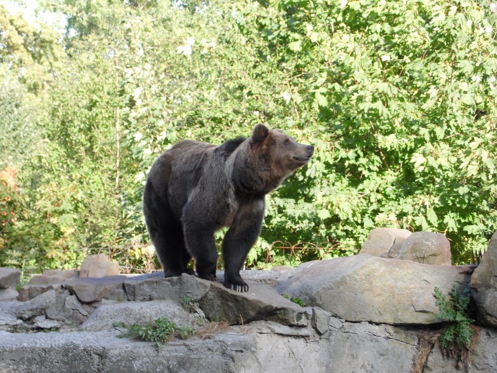 Photograph by Надежда Каравайцева