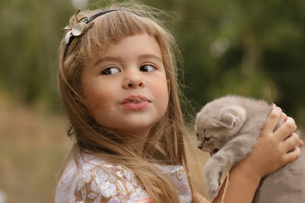 Фотография автора Светлана Матвиенко