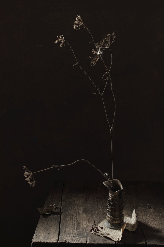 Фотография автора Коршак Елена