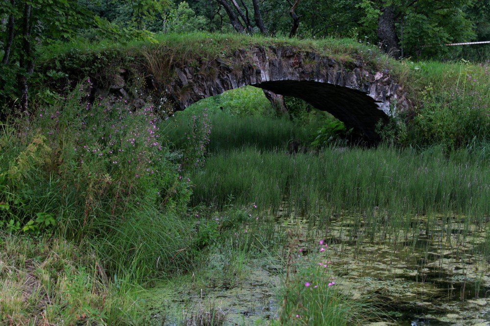 Photograph by Анастасия Солодкая