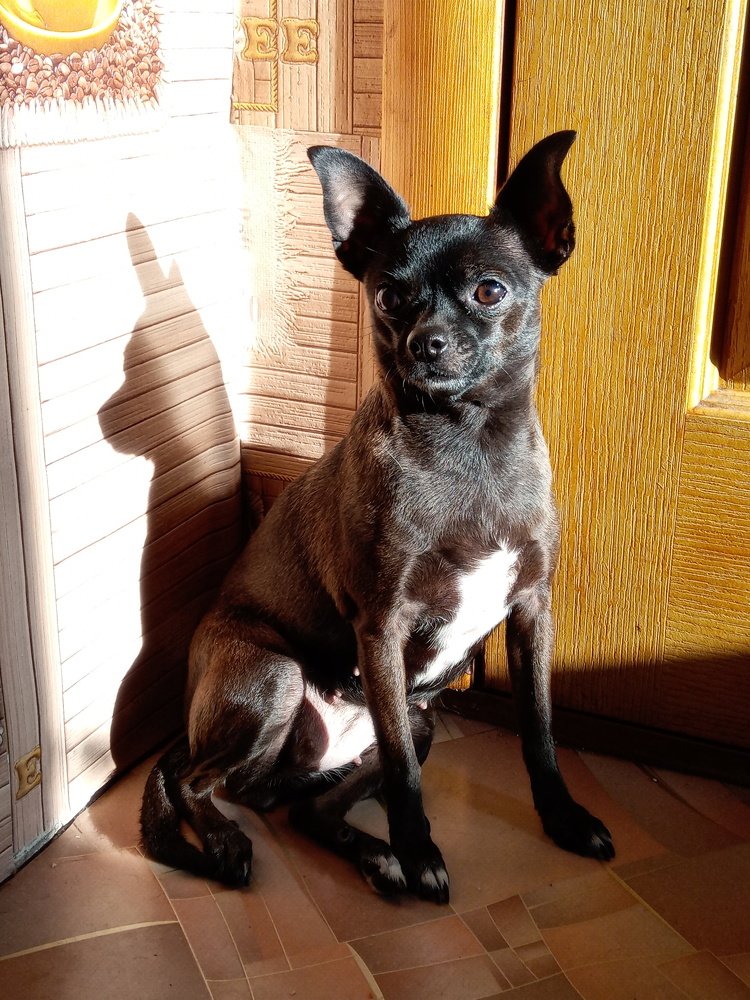 Буся от Бусинки