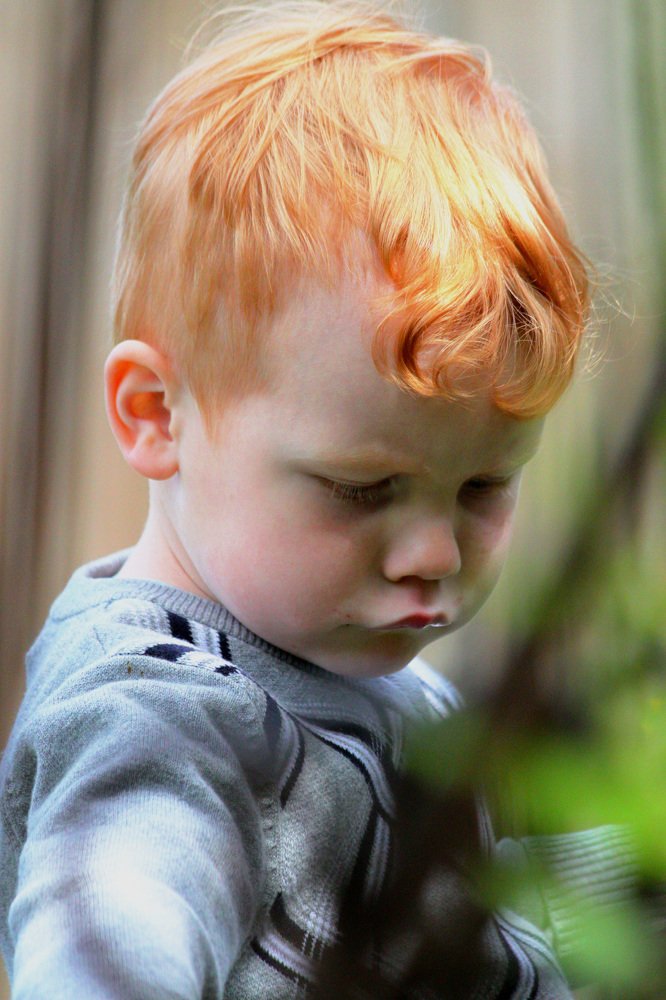 Photograph by Анастасия Солодкая