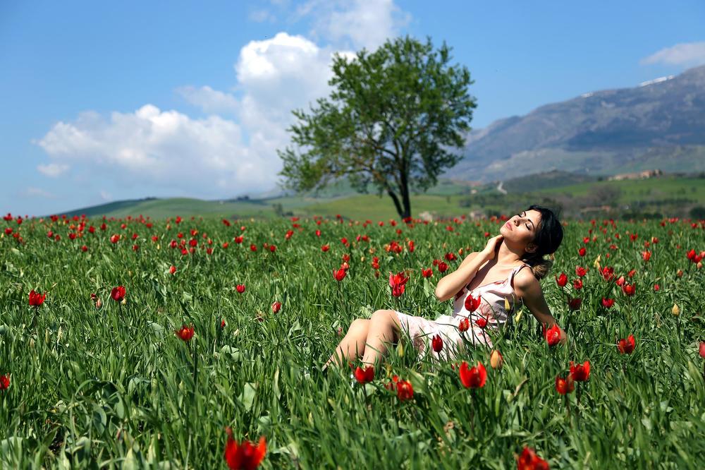 Photograph by Claudio Bonaccorsi