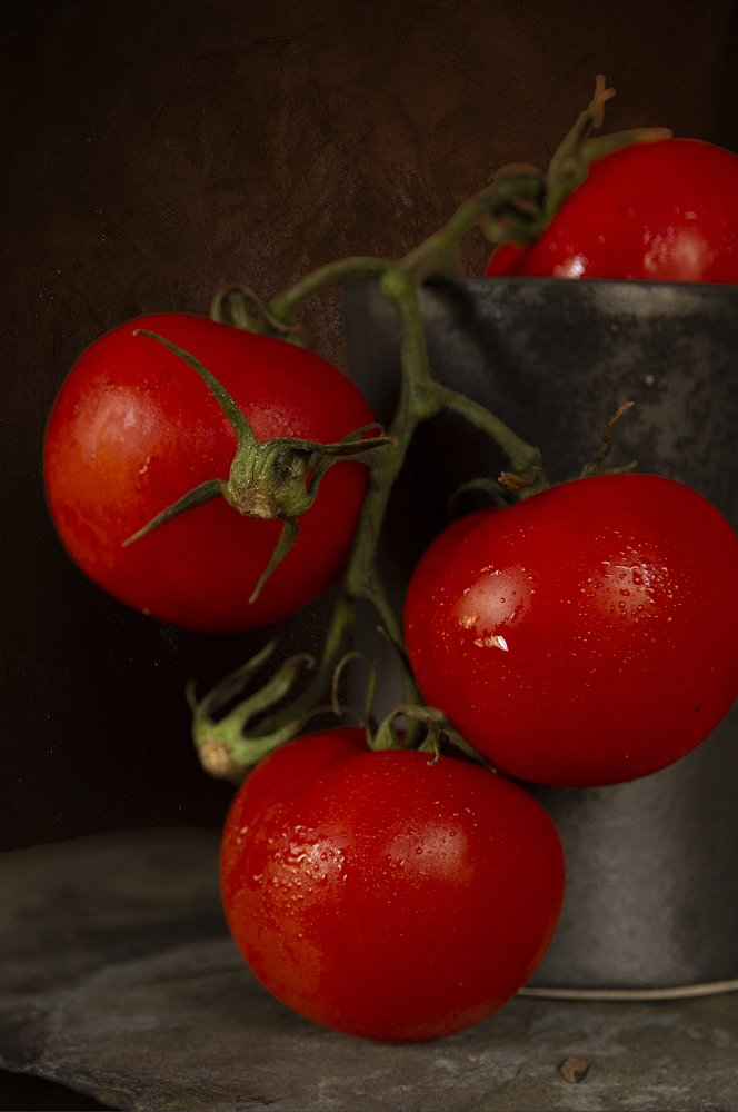 Photograph by Paula Teixeira