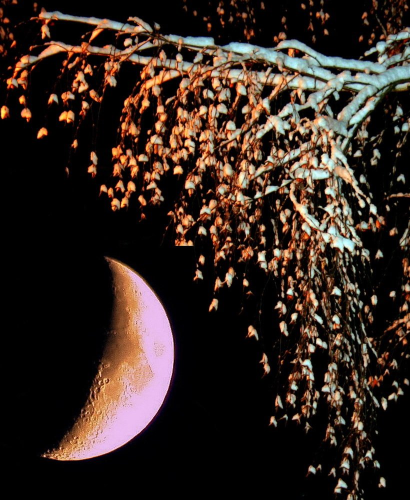 Photograph by вячеслав милов