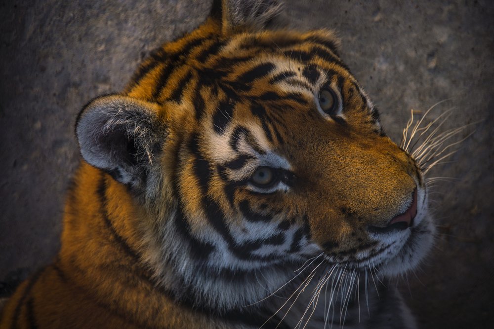 Пойдём со мной...