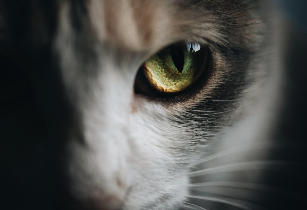 Photograph by Ксения Щербакова