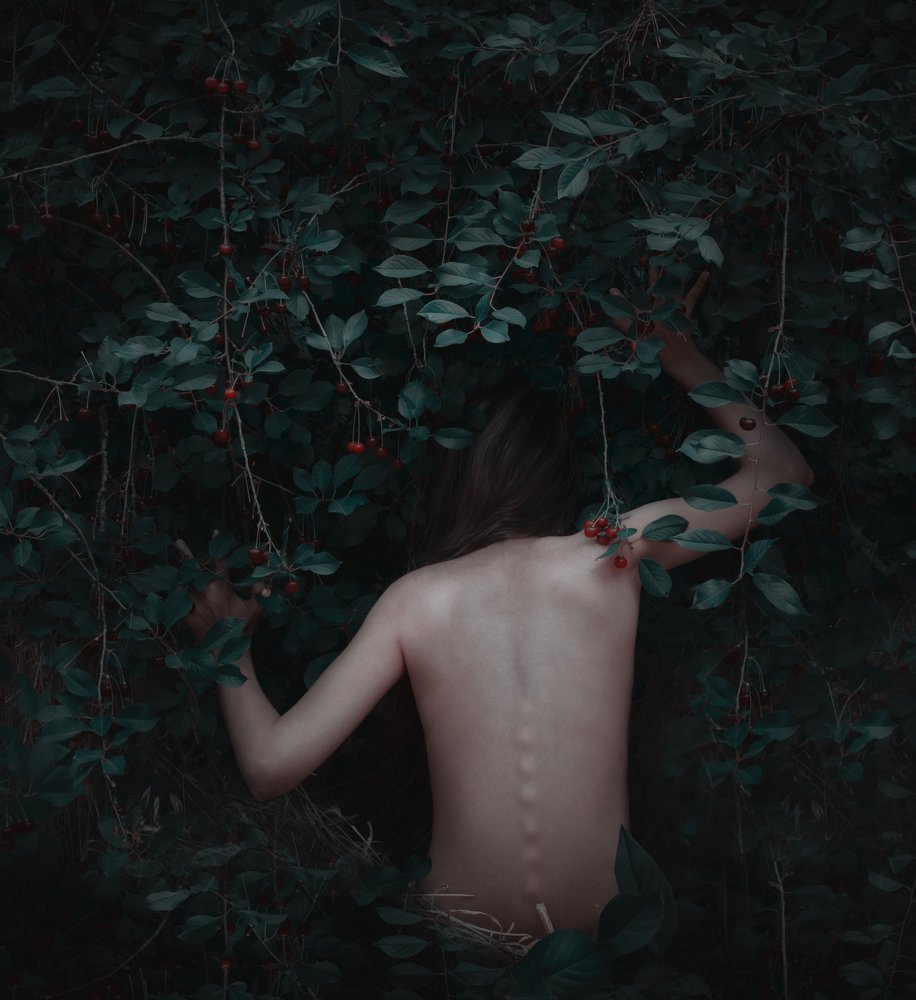 Фотография автора sahar mohamadi