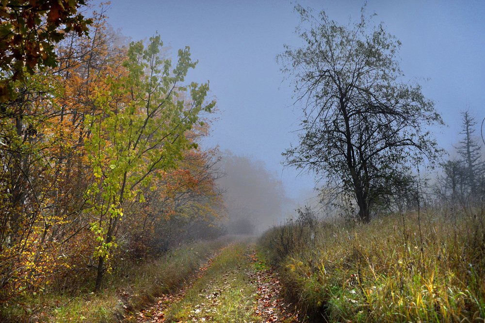 Photograph by Юрий Соловей