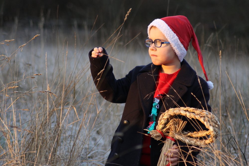 Photograph by Irina Alexeeva