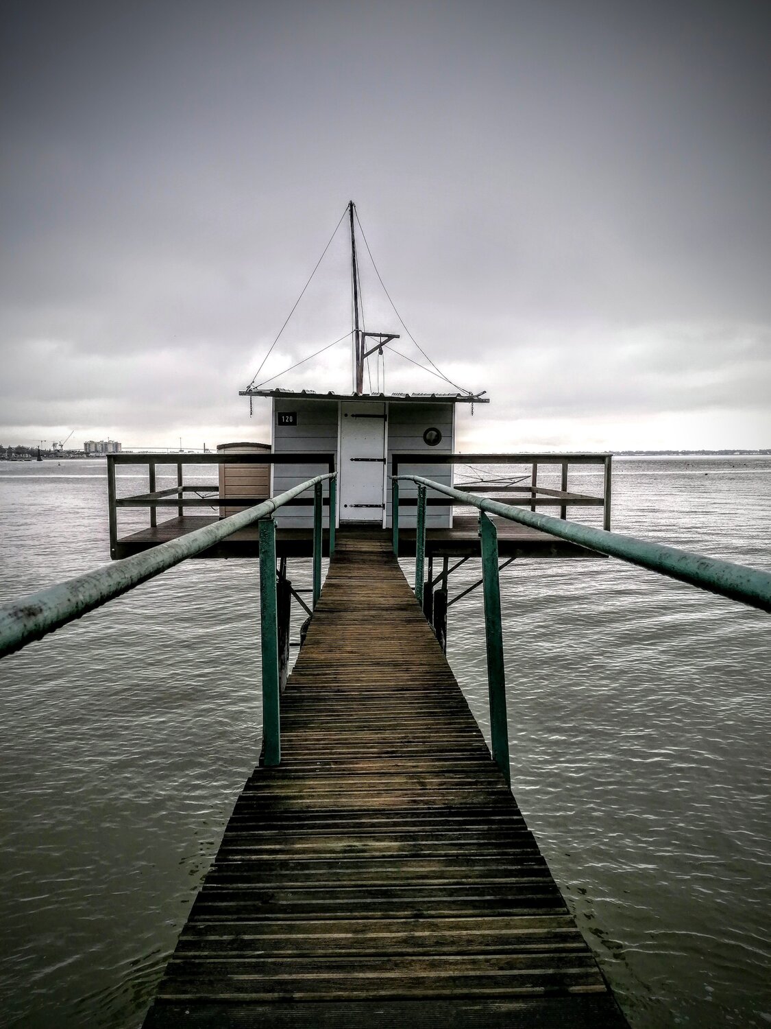 Photo #5452043