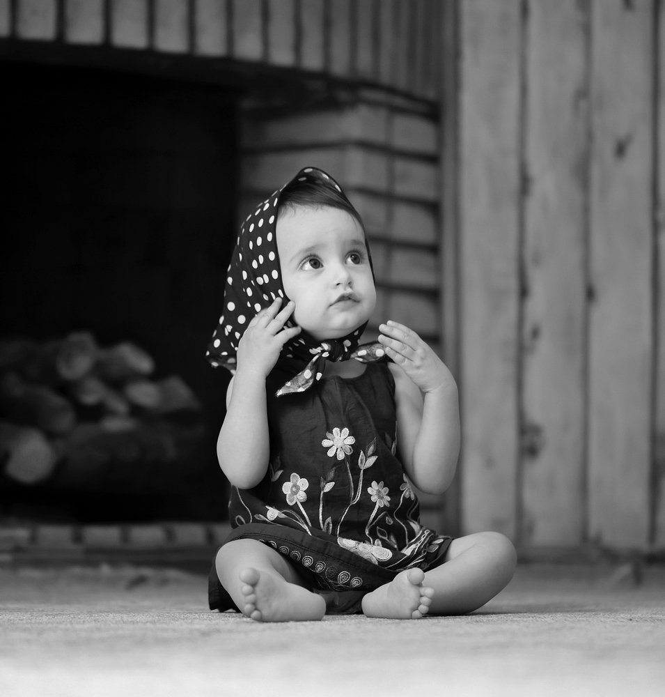 Фотография автора Hamidreza Saedi