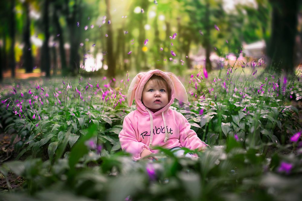 Алиса в Зазеркалье