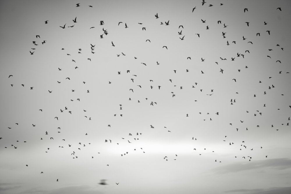 Photograph by Наталия Зиганшина