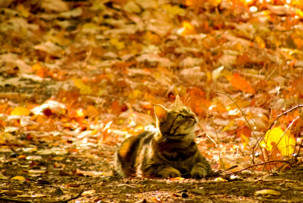 Photograph by Екатерина Подковенко