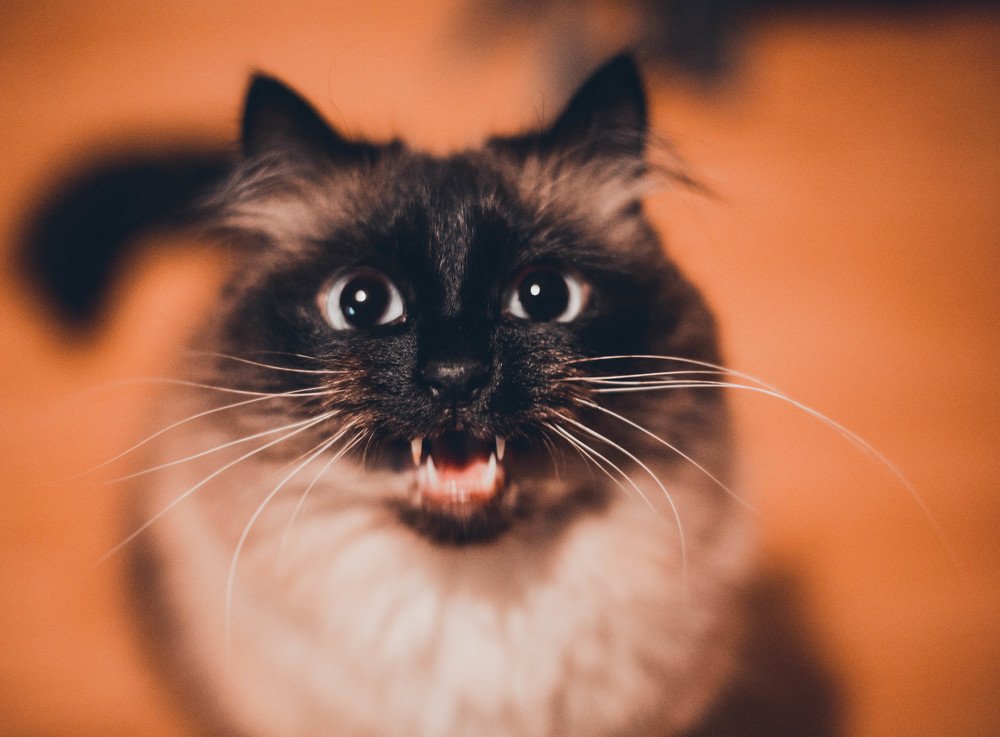 Photograph by Мария