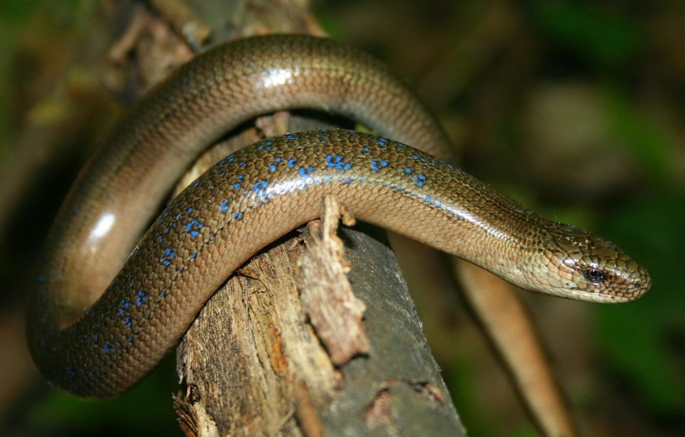 Photograph by вячеслав милов