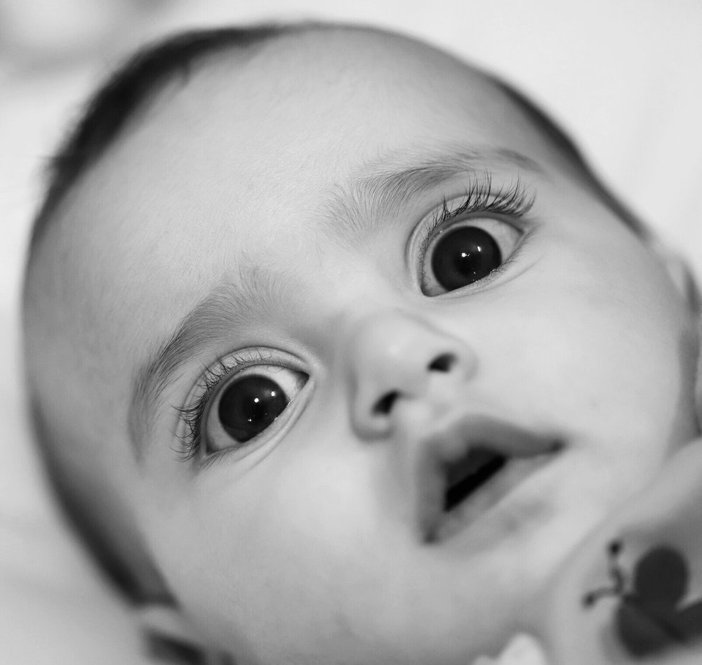 Фотография автора Hamidreza Saedi