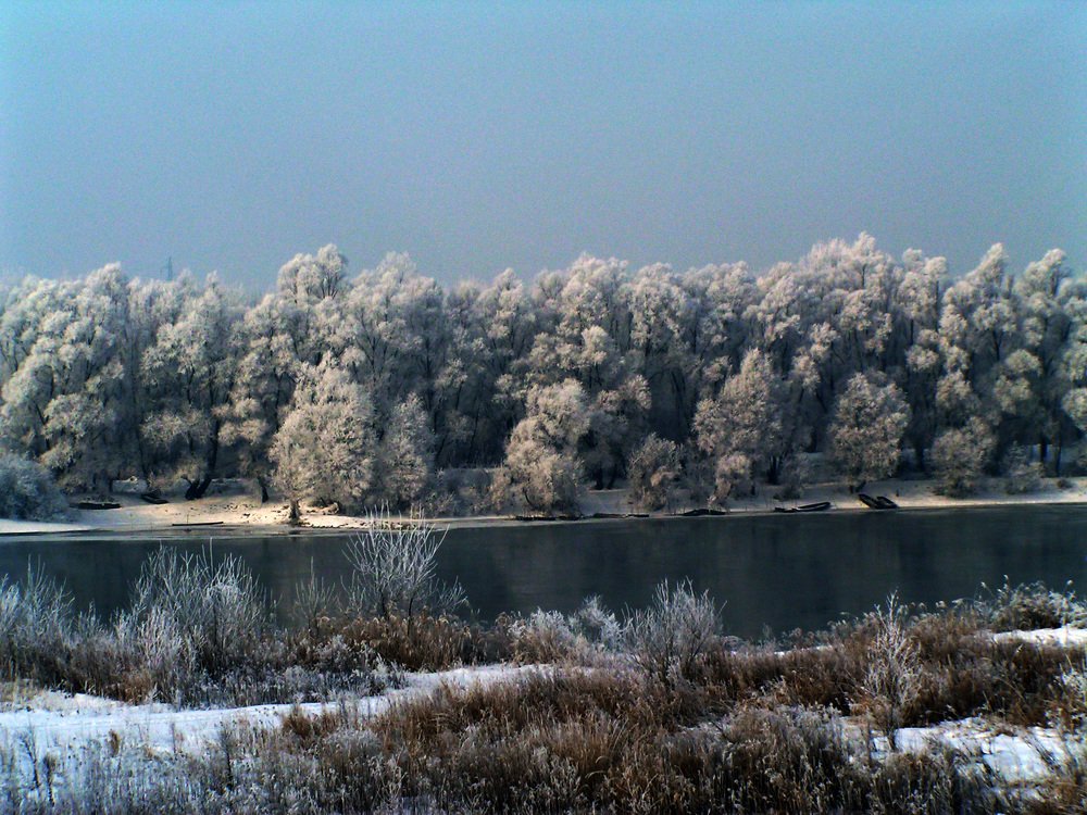 Drava in winter