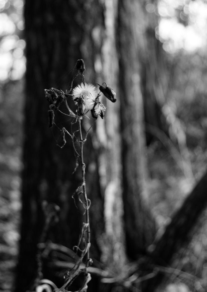 Вечерние пейзажи.