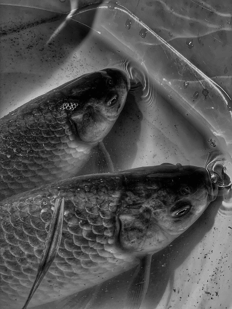 Photograph by Anastasia Malysh