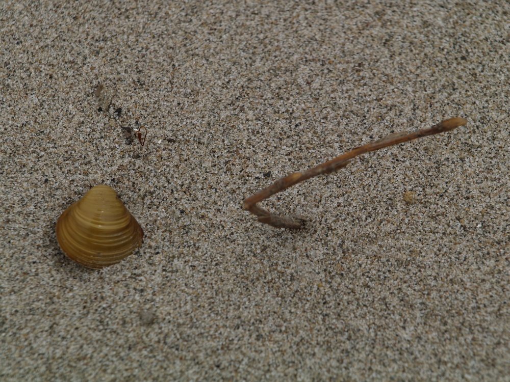 Фотография автора Dubravko Maricic