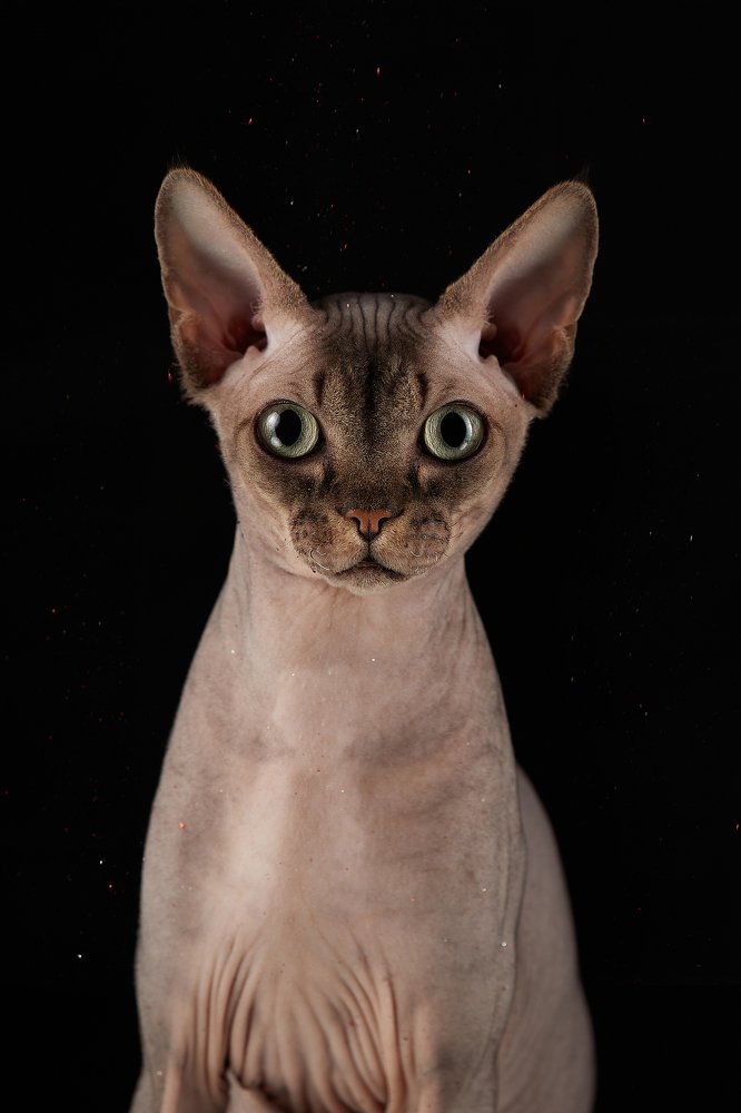 Photograph by Лана Полякова